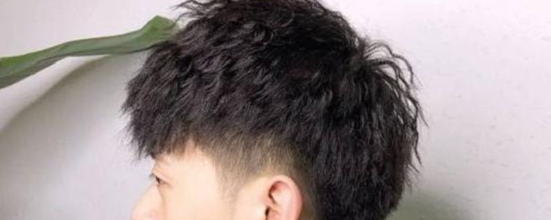 微分碎盖需要多长头发 微分碎盖需要多长头发